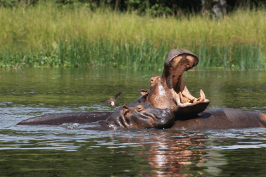 735986_10153344097845596_1845872104_o